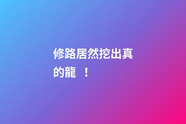 修路居然挖出真的龍！